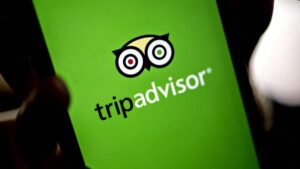 TripAdvisor — Building Review Authority in India